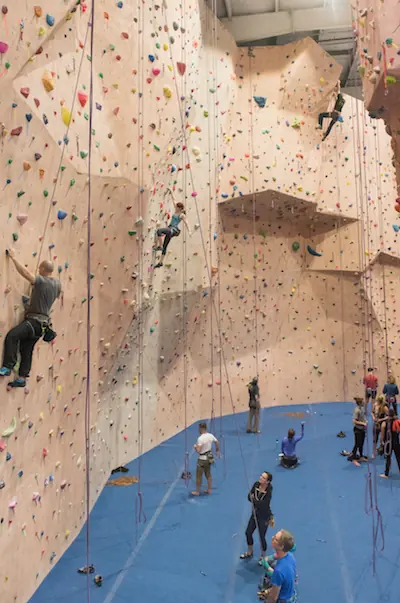 Climbers on the tall roped walls above the blue floor at The Delaware Rock Gym